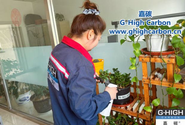 午休時光種花忙，美化辦公環(huán)境添綠意
